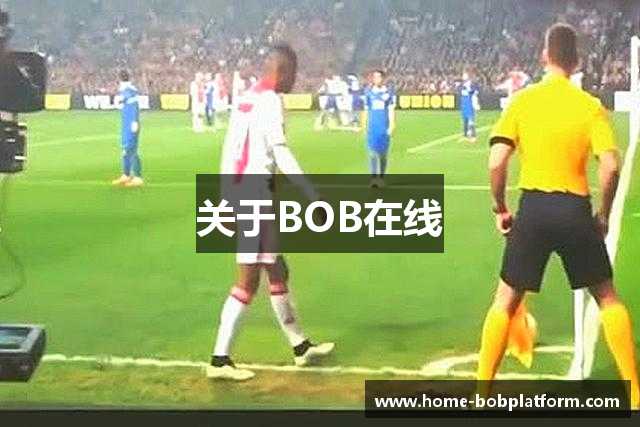 关于BOB在线